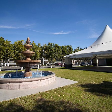 Hotel Calafia เม็กซิกาลิ ภายนอก รูปภาพ